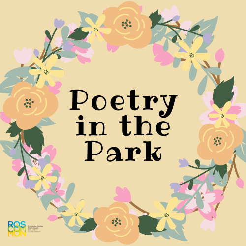 Poetry in the dark